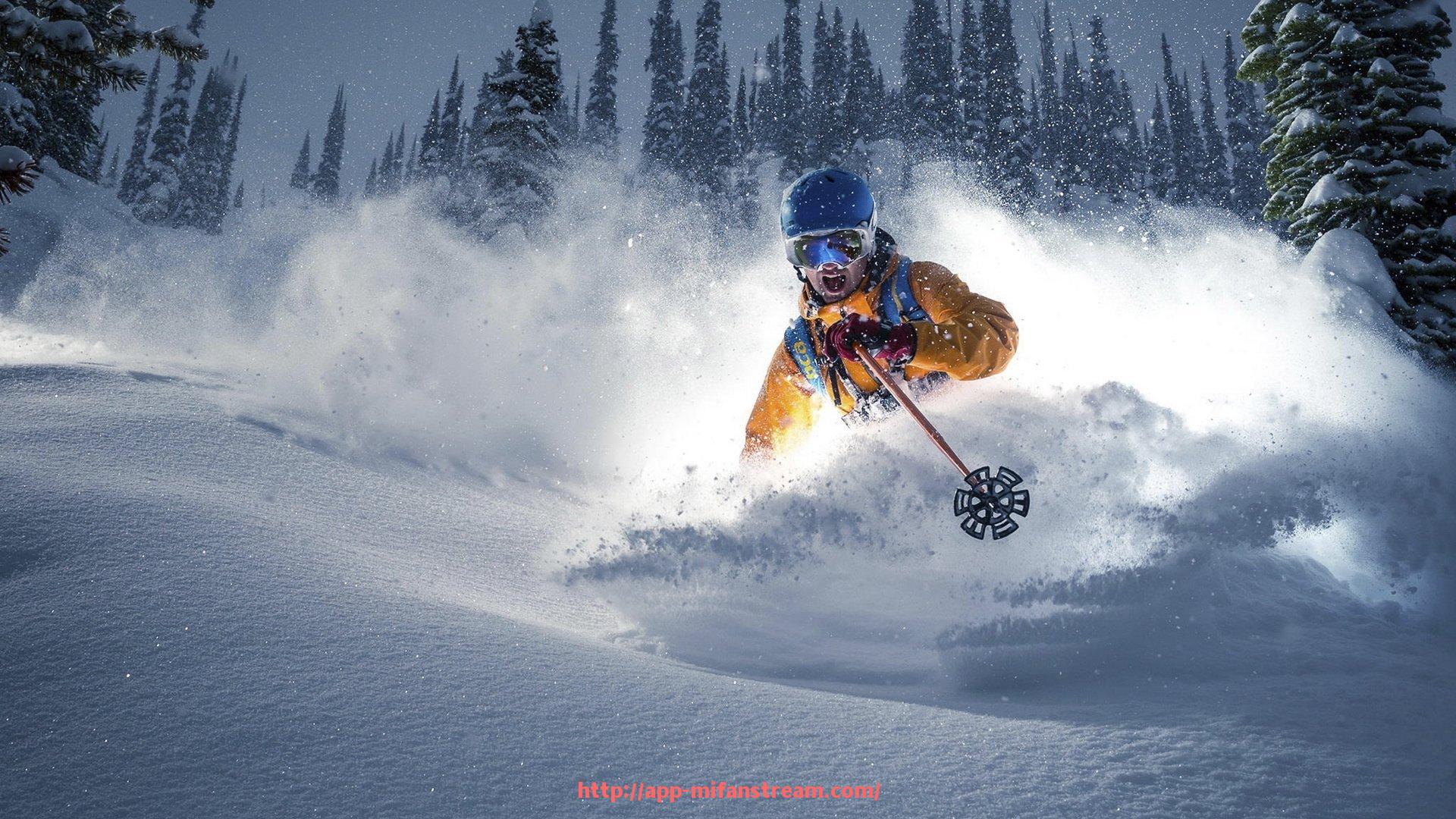 秘饭直播-划型健身器材的种类及针对性锻炼效果分析