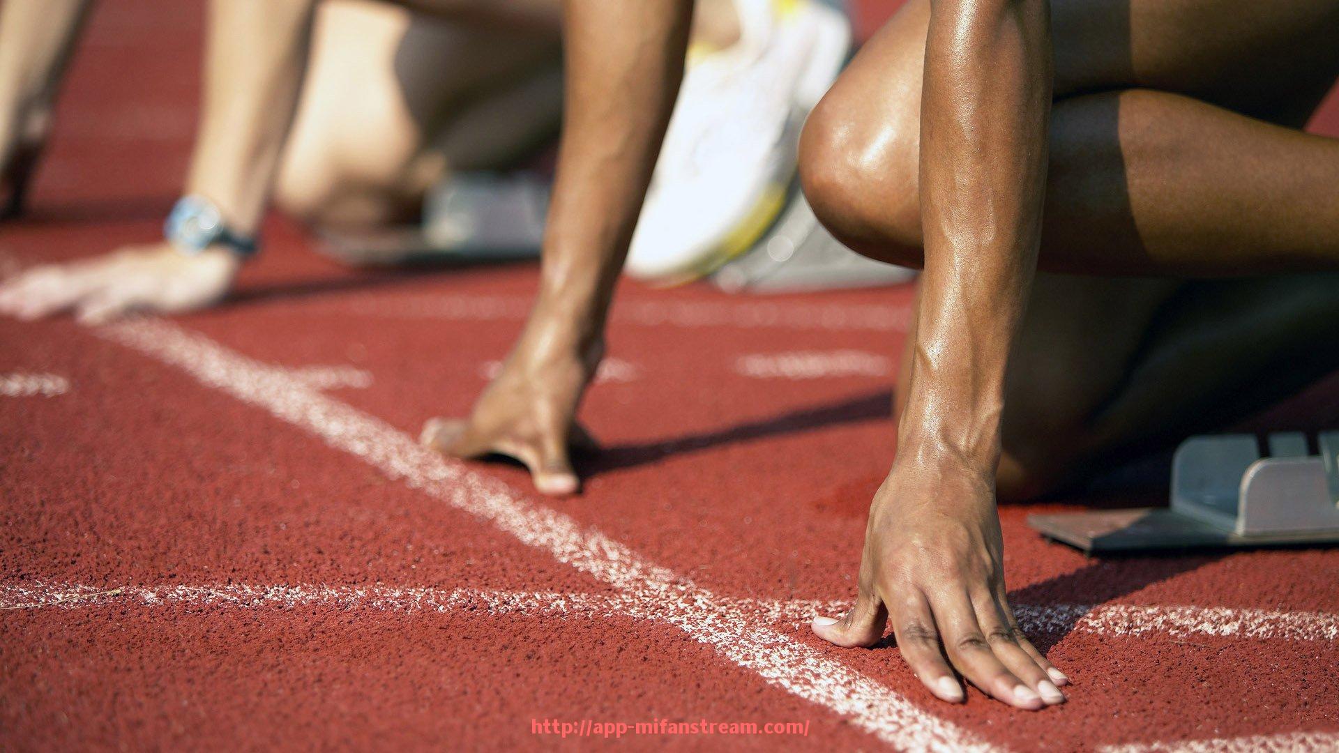 秘饭直播-马竞历年欧冠晋级历程与关键比赛回顾
